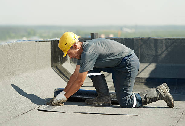 Best Insulation Maintenance and Repair in Harker Heights, TX